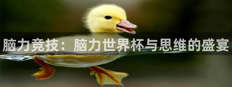 联赛杯直播:脑力竞技:脑力世界杯与思维的盛宴