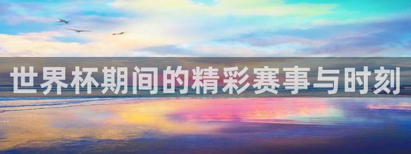 世界杯对阵图2026:世界杯期间的精彩赛事与时刻