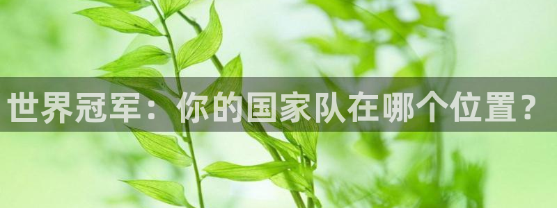世界杯足球赛2026:世界冠军:你的国家队在哪个位置?