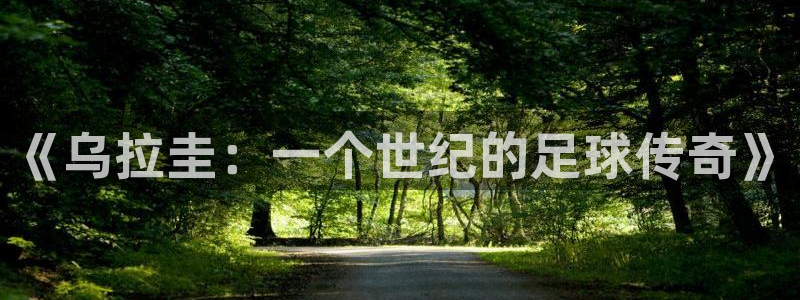 世界杯预选赛2026:《乌拉圭:一个世纪的足球传奇》