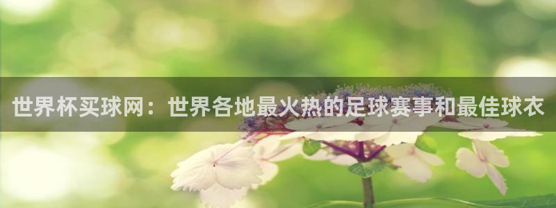世界杯小组赛赛程:世界杯买球网:世界各地最火热的足球赛事和最佳球衣