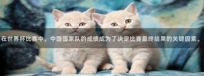 2026世界杯德国队阵容:在世界杯比赛中,中国国家队的成绩成为了决定比赛最终结果的关键因素。