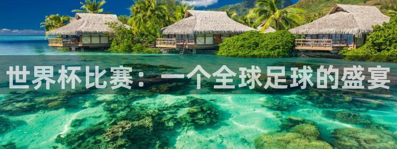 2026世界杯德国队阵容:世界杯比赛:一个全球足球的盛宴