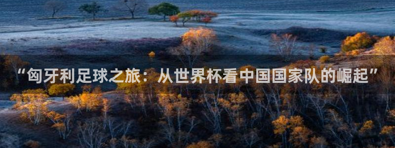 世界杯直播在线观看入口:“匈牙利足球之旅:从世界杯看中国国家队的崛起”